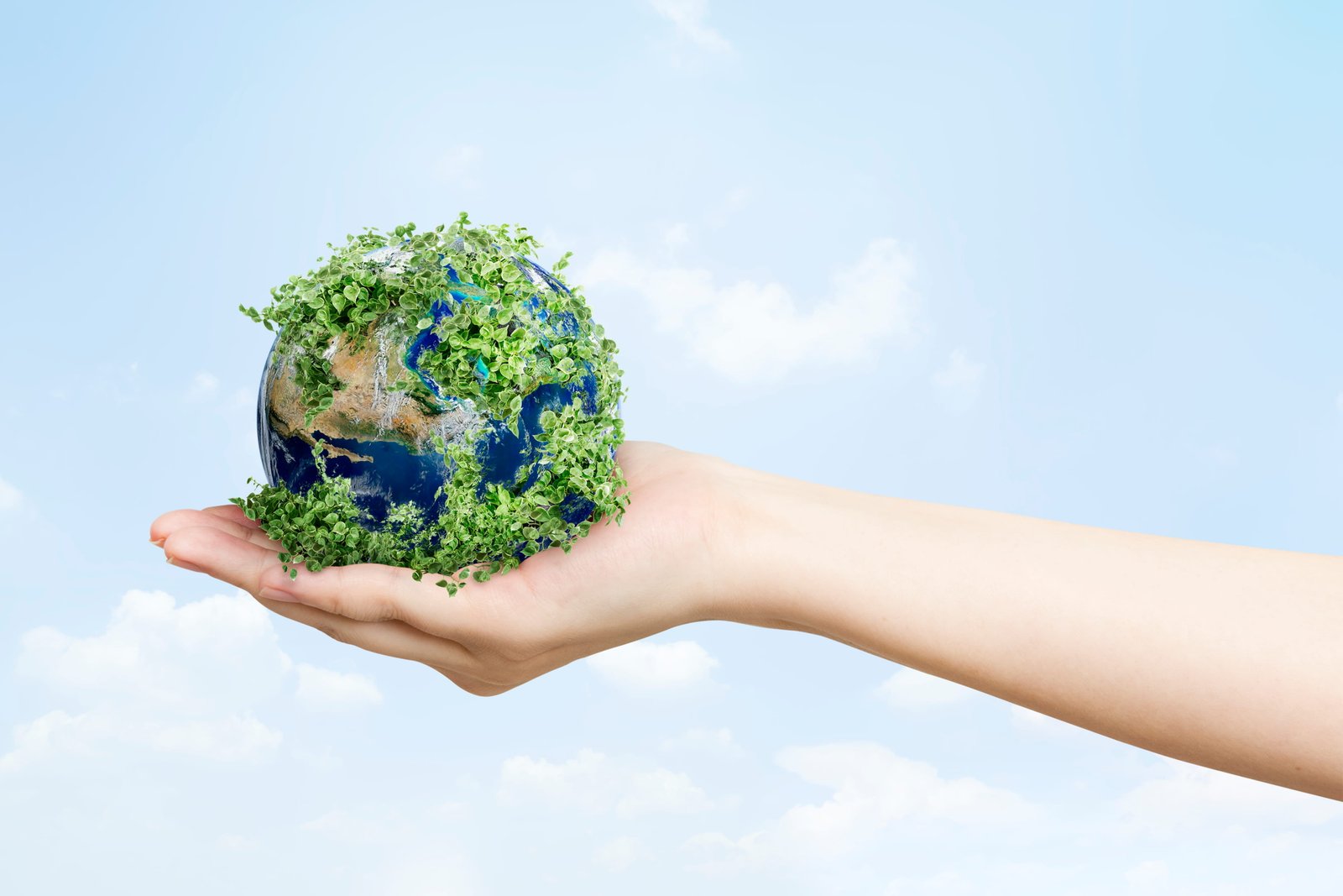 Featured Insight